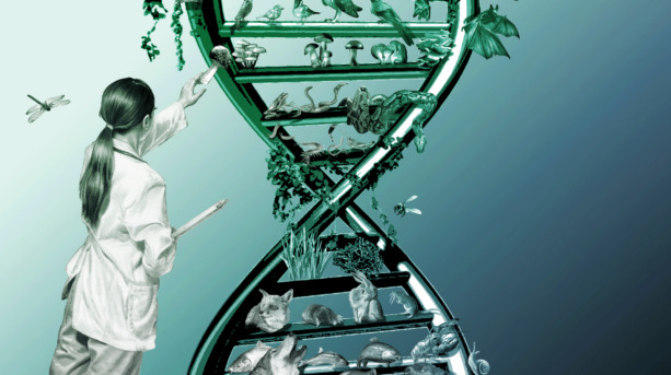 Mercredis EDS ADN environnemental